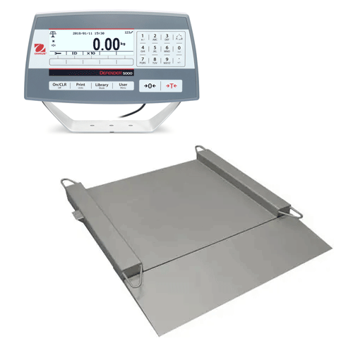 Platform Scales