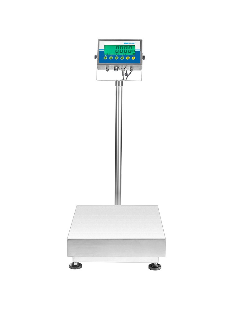 Medium Sized Waterproof Scales