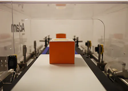 In-line dynamic checkweighing