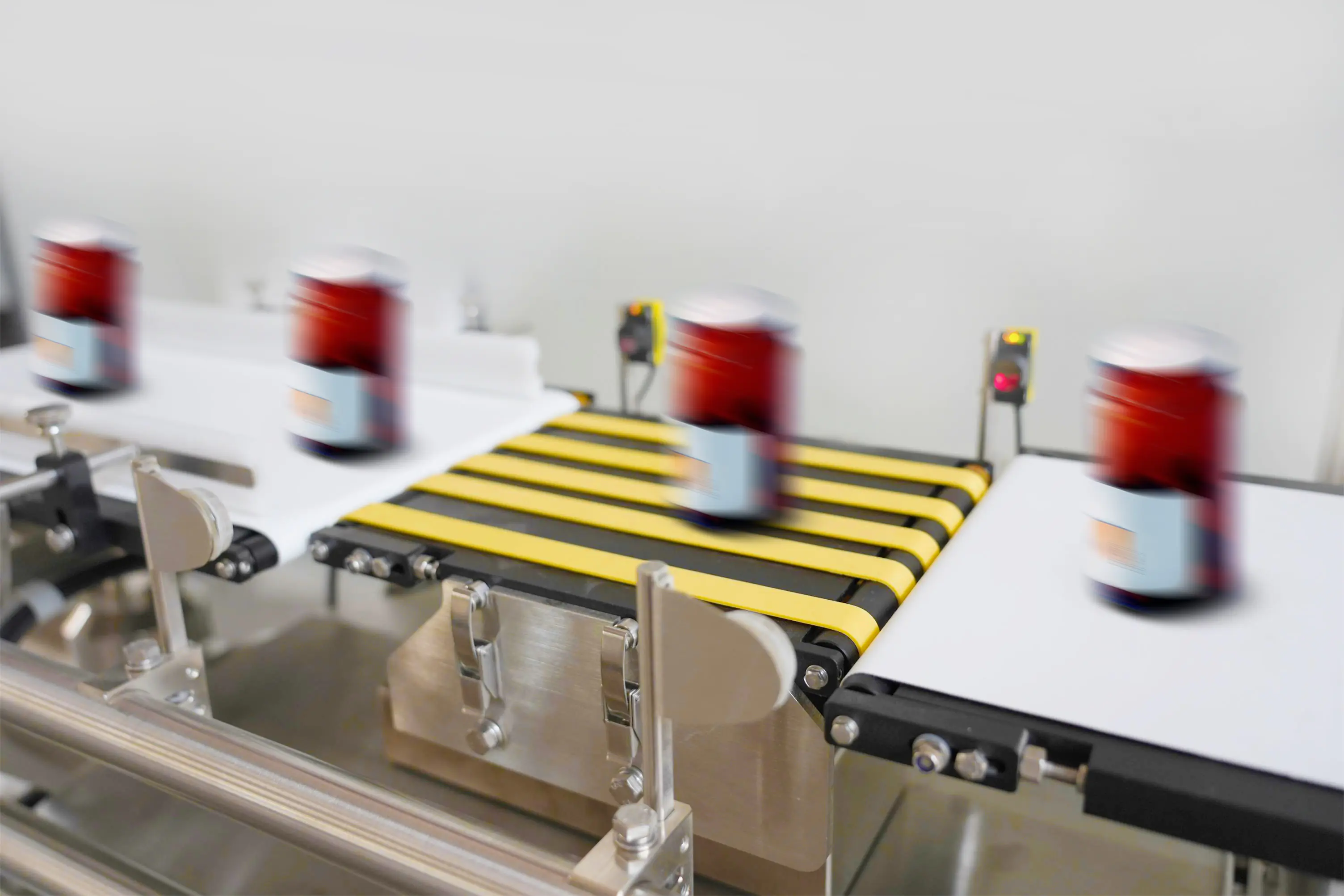 dynamic checkweighing - Sentinel